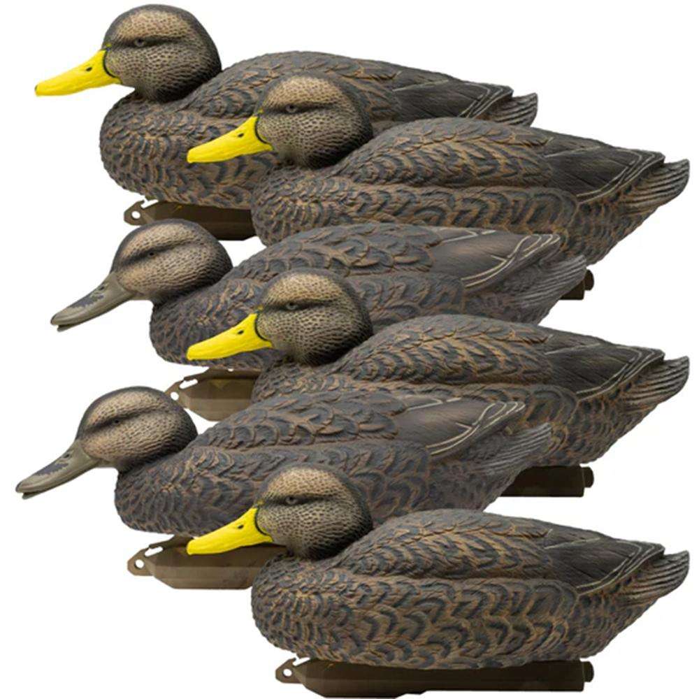 Six realistic duck hunting decoys on white background