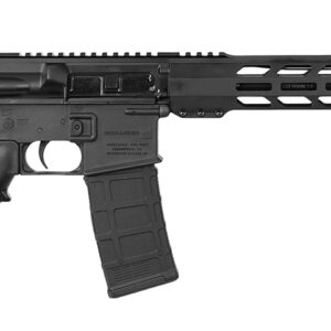 Black AR-style semi-automatic rifle with adjustable stock