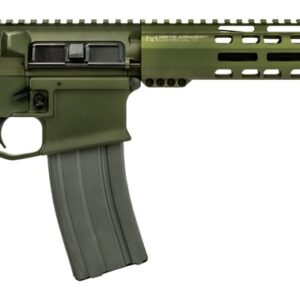Olive green AR-style rifle with black adjustable stock