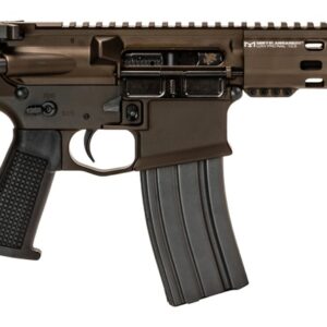 Black AR-style rifle with adjustable stock and magazine