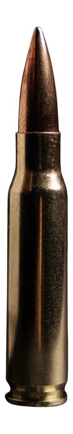 200668.jpg
