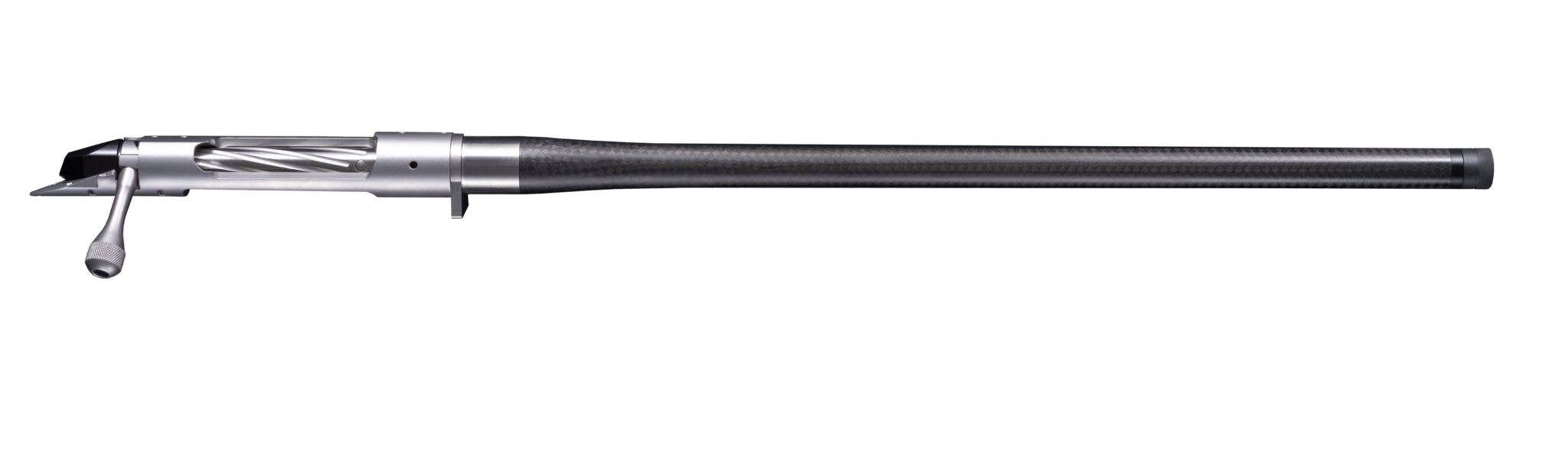 bgno6028f.jpg