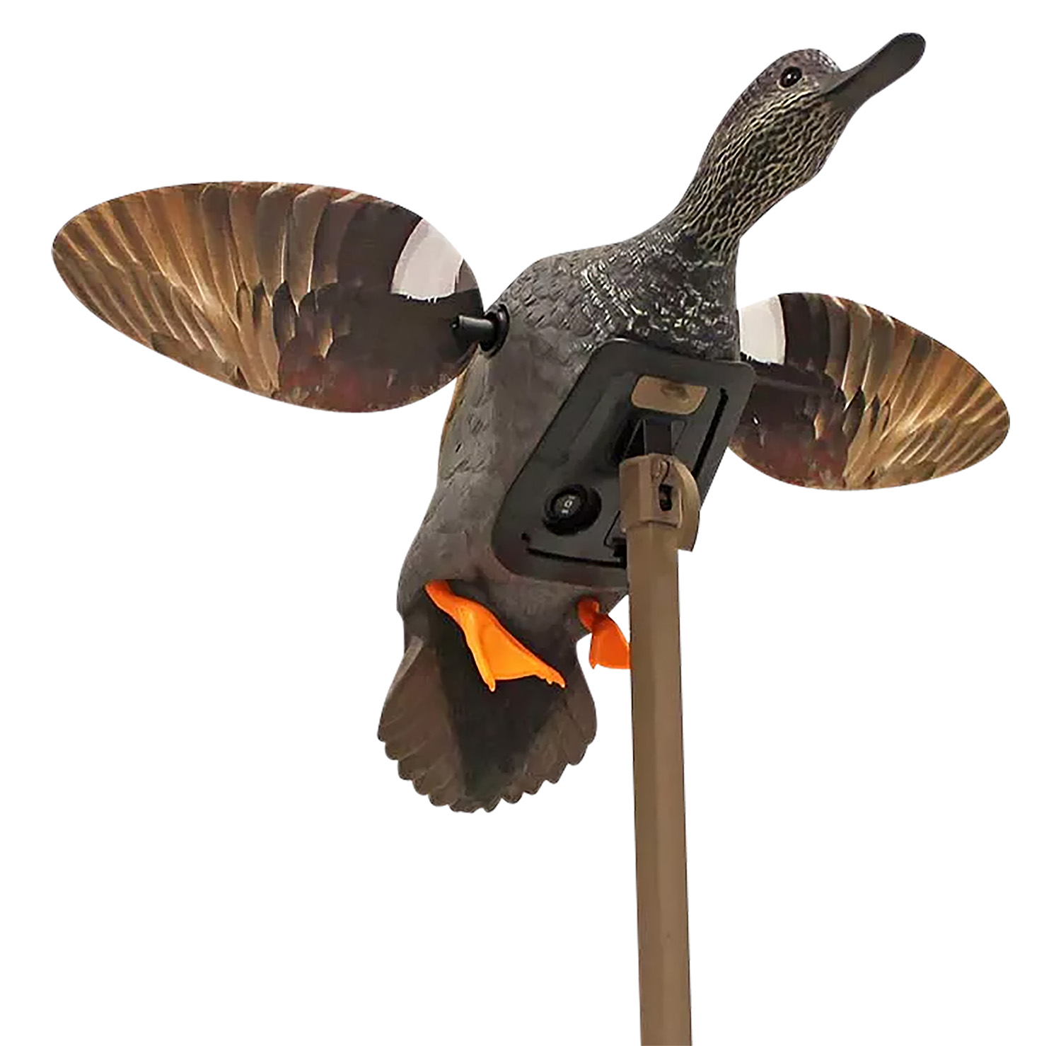 Motorized duck decoy with spinning wings on pole