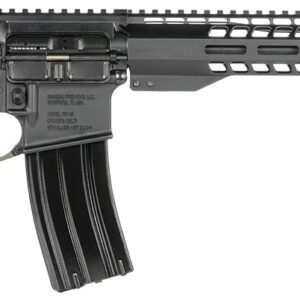 Black AR-style rifle with olive green stock and grip