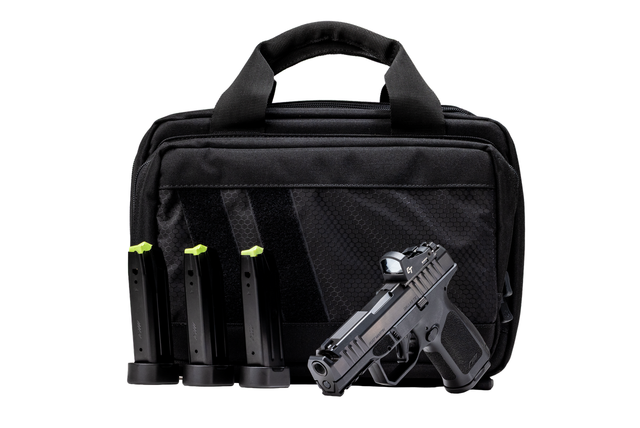 Black handgun, three magazines, and carrying case