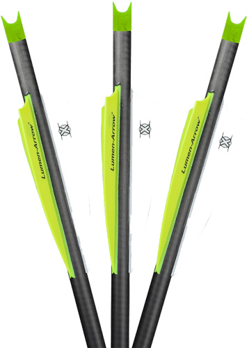 Three carbon arrows with bright green fletching