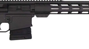 Black AR-style semi-automatic rifle with adjustable stock