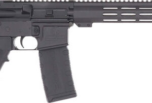 Black AR-style semi-automatic rifle with adjustable stock