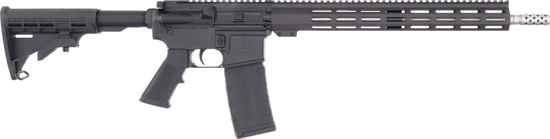 Black AR-style semi-automatic rifle with adjustable stock
