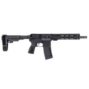 Black AR-style rifle with adjustable stock and magazine
