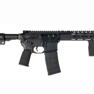 Black AR-style semi-automatic rifle on white background